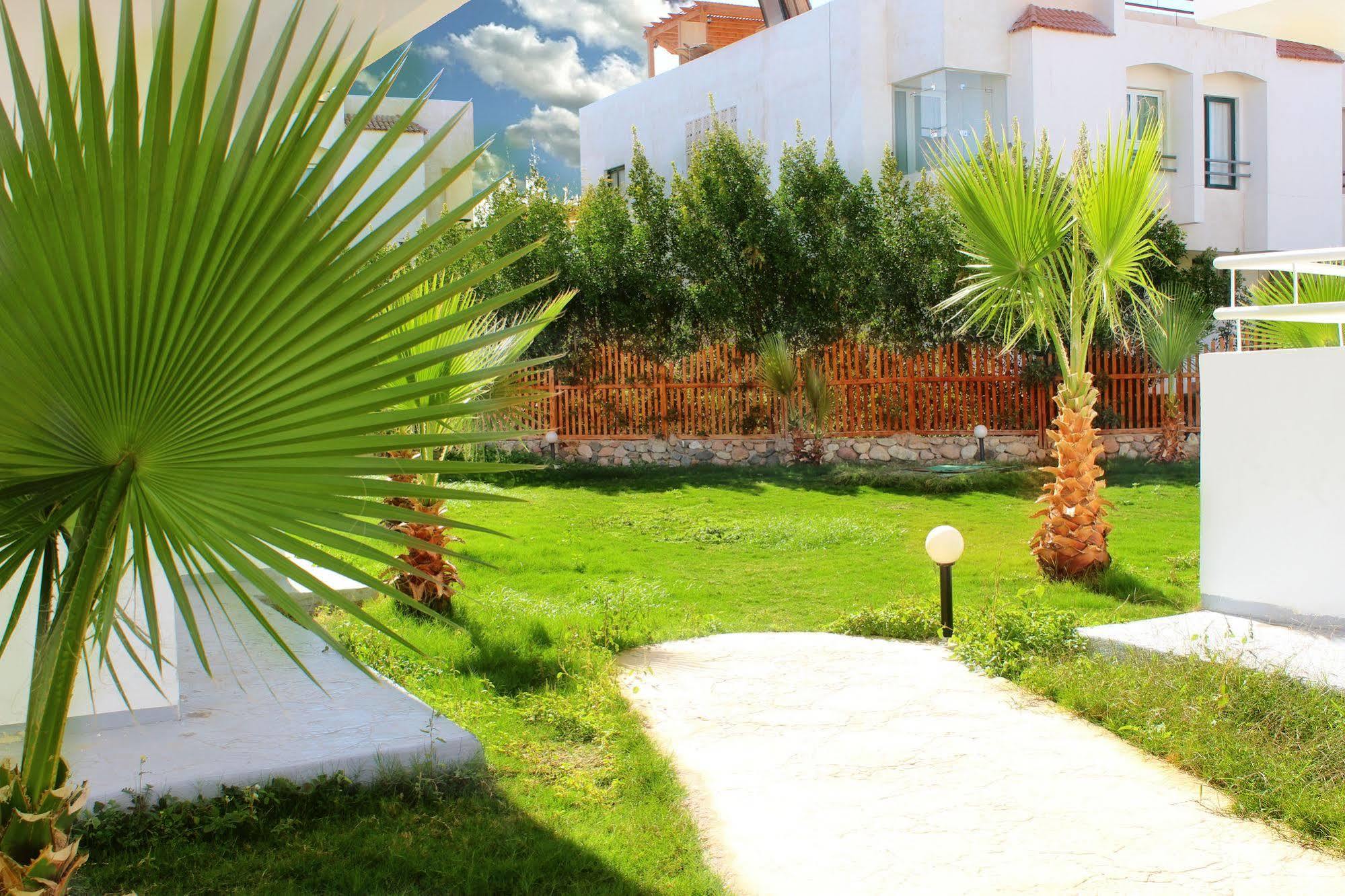 Viking Club Hotel Sharm El Sheikh Exterior photo